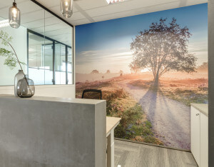 jan-weesp-kantoor-werkplek-Cassonade.jpg